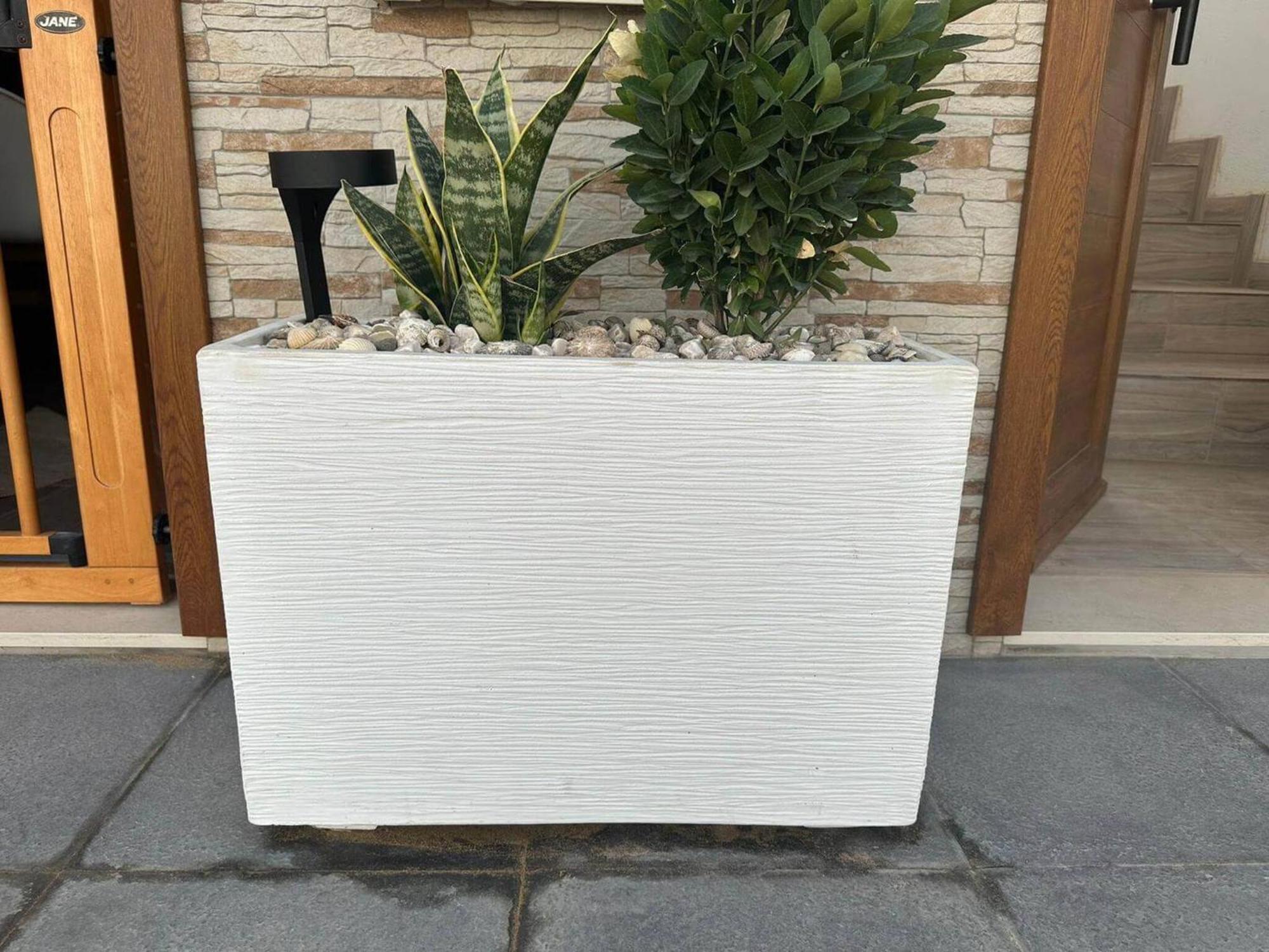 קלטה דה סבו La Graciosita Traditional Home מראה חיצוני תמונה
